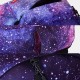 Women 3Pcs Galaxy Printed School Backpack Meal Bag Pencil Case Women 3Pcs Galaxy Printed School Backpack Meal Bag Pencil Case