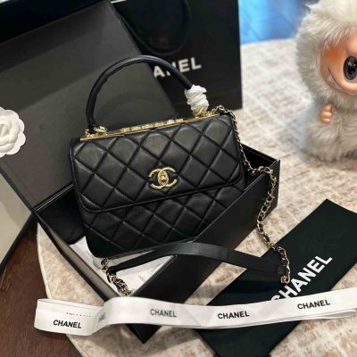 C202572311 handbag